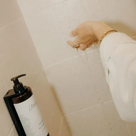 فندق Adishatz بيسكاروس
